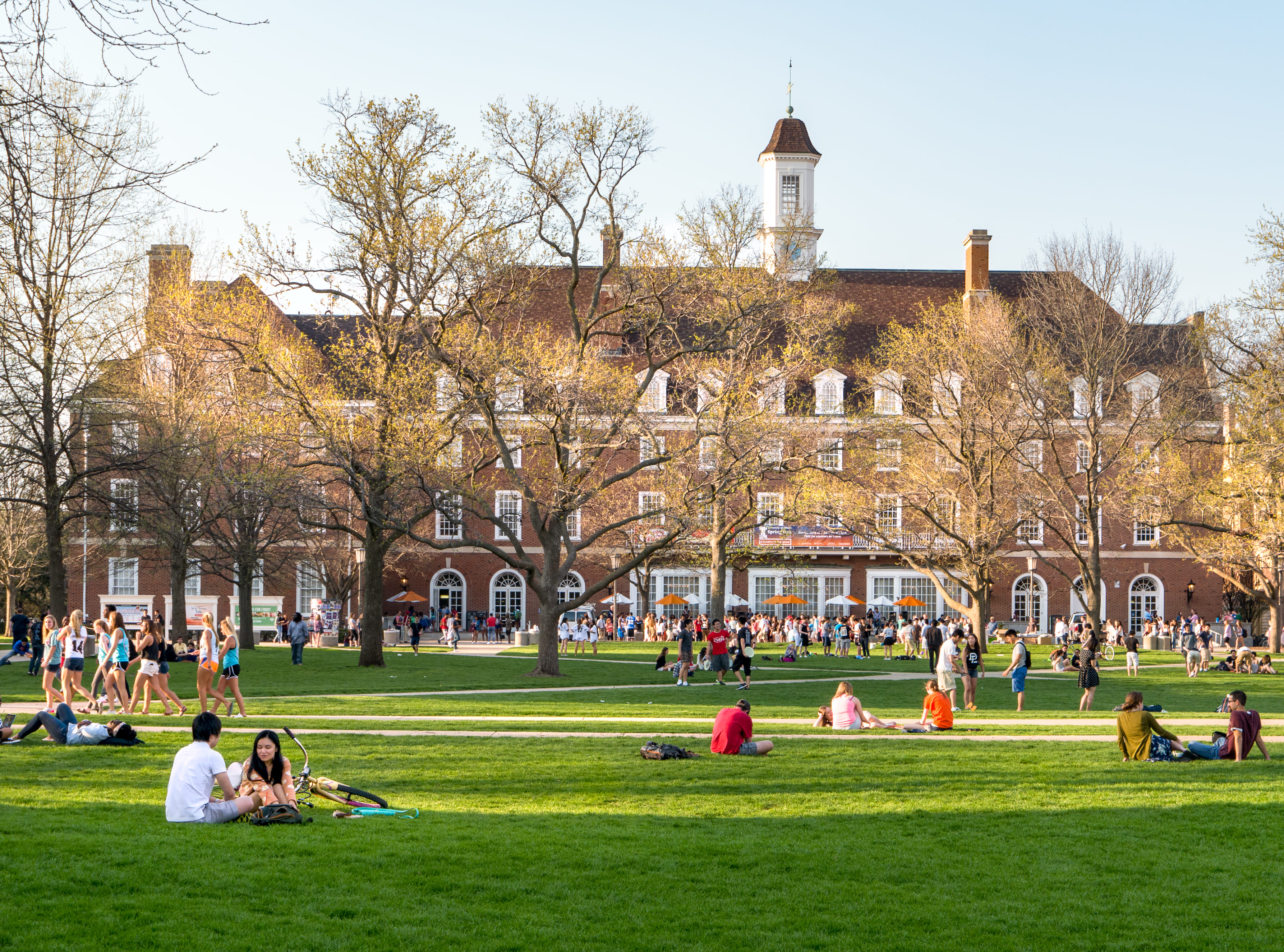 University of school of. Йоркский университет Великобритания кампус. Университет Йорка Великобритания кампус. Бостонский университет кампус. Университет Йорка кампусы.